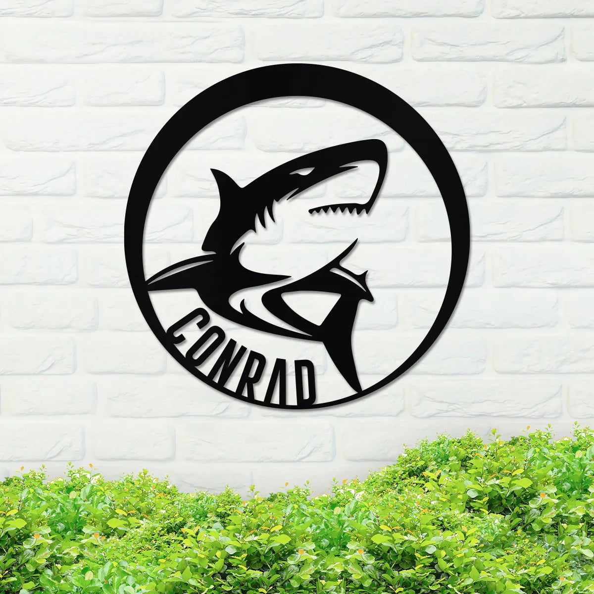 Great White Shark Name Sign